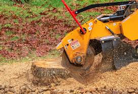 Best Lawn Maintenance Plans  in Lofall, WA