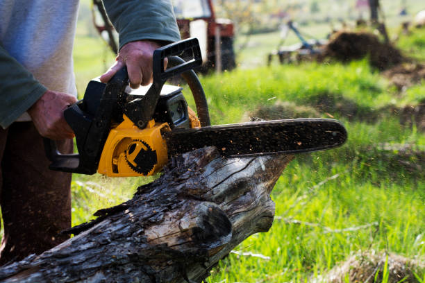 Best Soil Testing and Treatment  in Lofall, WA
