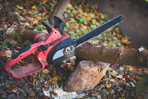 Lawn Maintenance Plans in Lofall, WA